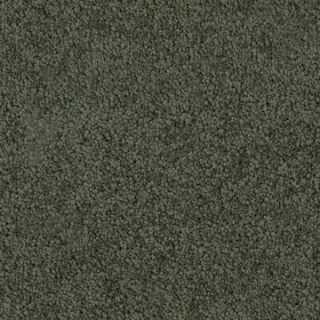 DH Floors Spring Break - Cypress