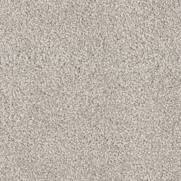 DH Floors Spring Break - Pelican