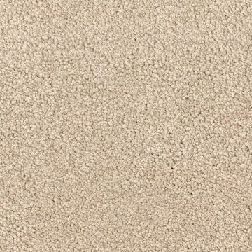 DH Floors Spring Break - Hammock