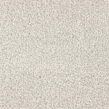 image DH Floors Spring Break - Seashell
