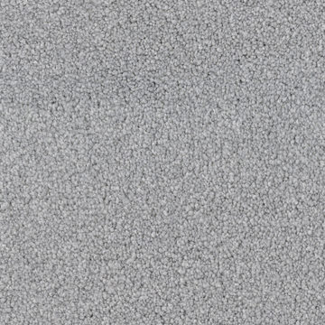 DH Floors Spring Break - Seagull