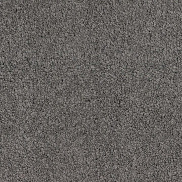 DH Floors Spring Break - Dolphin