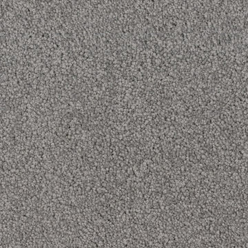 image DH Floors Spring Break - Resort