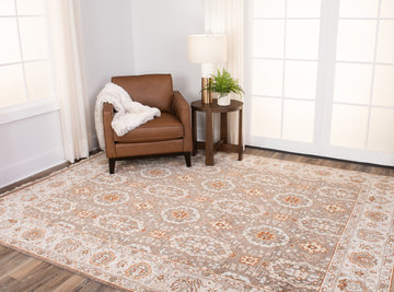 Rajasthan Camel/Mushroom Area Rug - 8′0″ x 10′0″ 