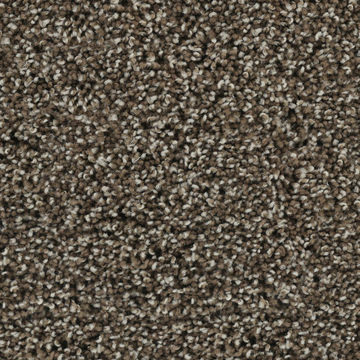 Karastan Bold Finish - Rustic Villa