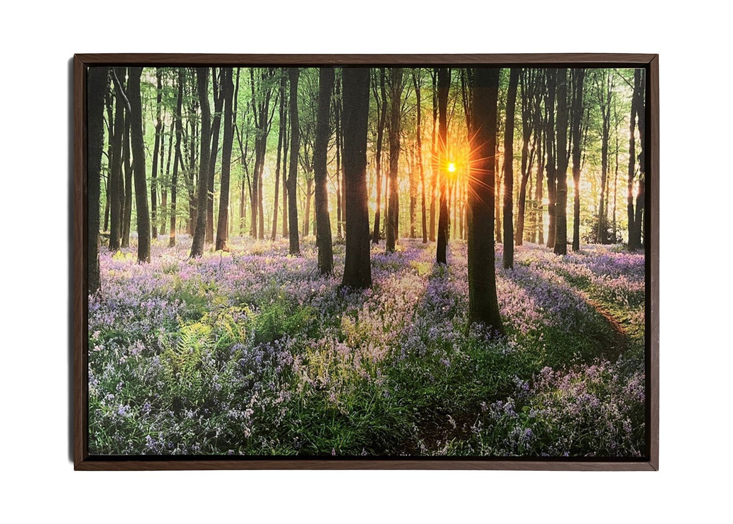 Forest Glow Framed Canvas Art 