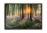 Forest Glow Framed Canvas Art  thumbnail 1