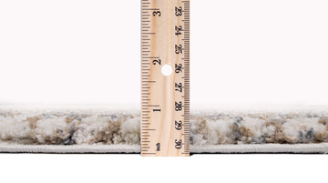 Cottontail Ivory Area Rug - 6′7″ X 9′6″