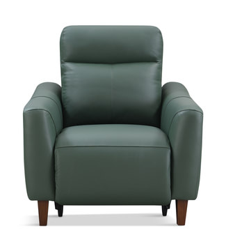 Bayfield Leather Power Recliner - Green
