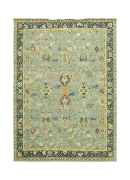 Hand Knotted Area Rug
