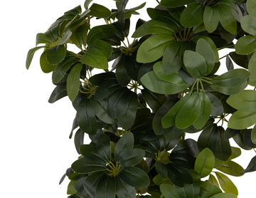 51″ Schefflera Tree In Cement Pot