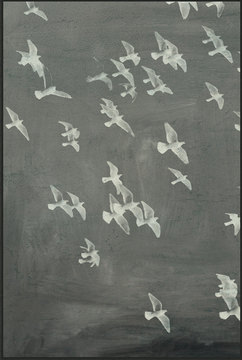 image Flight I Framed Canvas
