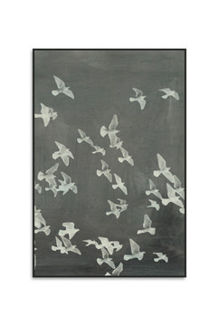 image Flight II Framed Canvas