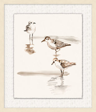 image Shoreline Flock 1 Framed Art