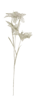 image Lace Lily Stem