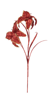 image Lily Stem - Red