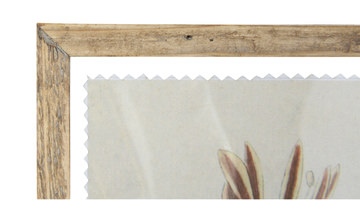 Assorted Floral Framed Art