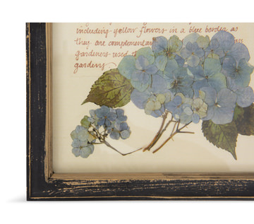 Assorted Botanical Framed Art