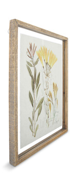 Assorted Floral Framed Art
