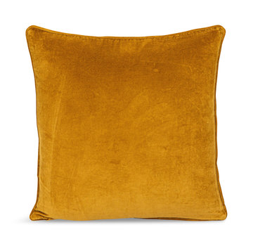 Velvet Pillow
