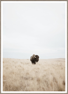 image Great Plains Denizen Framed Art