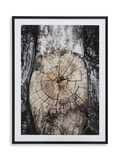 Tritan Wall Art thumbnail 1