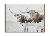 Texans Wall Art thumbnail 1