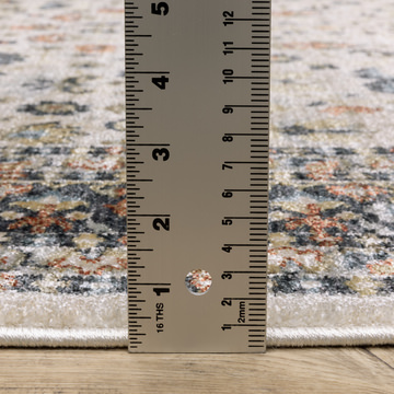 Eliana Mahal Ivory/Charcoal Area Rug - 7′10″ X 10′10″