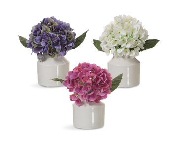 image Hydrangeas In Vases