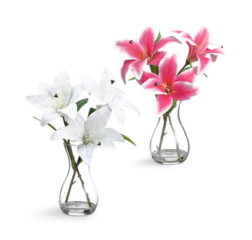 image Lily In Glass Vase