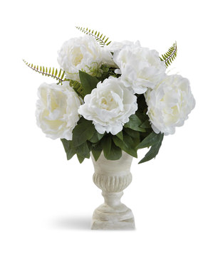 image Peony In Pot