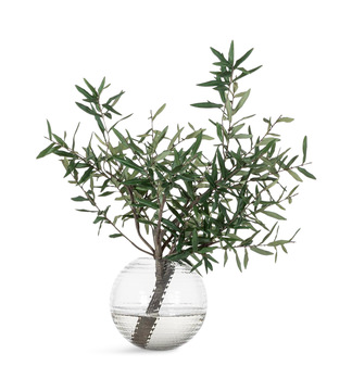 image Olive Branch In Glass Vase