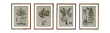 Floating Botanical Assorted Framed Art thumbnail 1