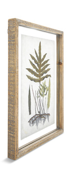 Floating Botanical Assorted Framed Art