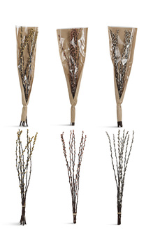 image Dried Willow Bunch Assorted