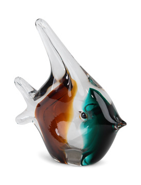 image Glass Fish