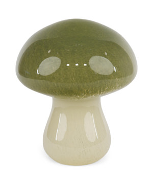 image Ombre Mushroom