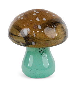 image Ombre Mushroom
