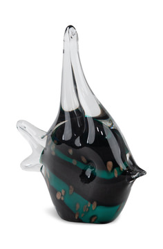 image Glass Fish