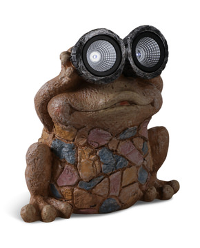 Frog With Solar Goggles
