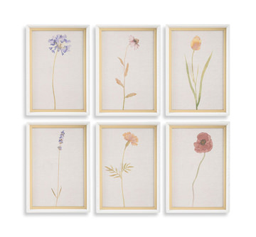image Wild Flourish Framed Art Set Of 6