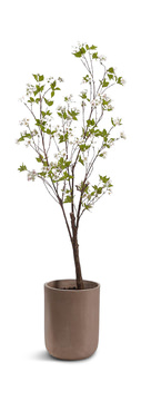 image 7.5′ Blossom Tree