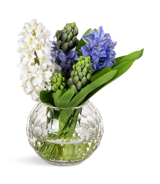 image Fresh Cut Hyacinth In Glass Vase
