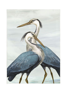image Magnificent Blue Herons I Framed Canvas