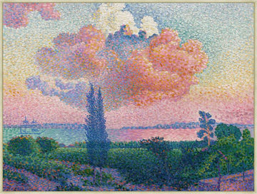 image The Pink Cloud Framed Canvas