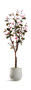 image 7′ Pink Magnolia Tree