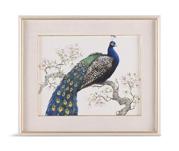 image Peacock And Blossoms II Framed Art