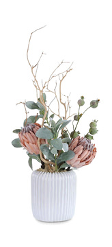 image Desert Blooms