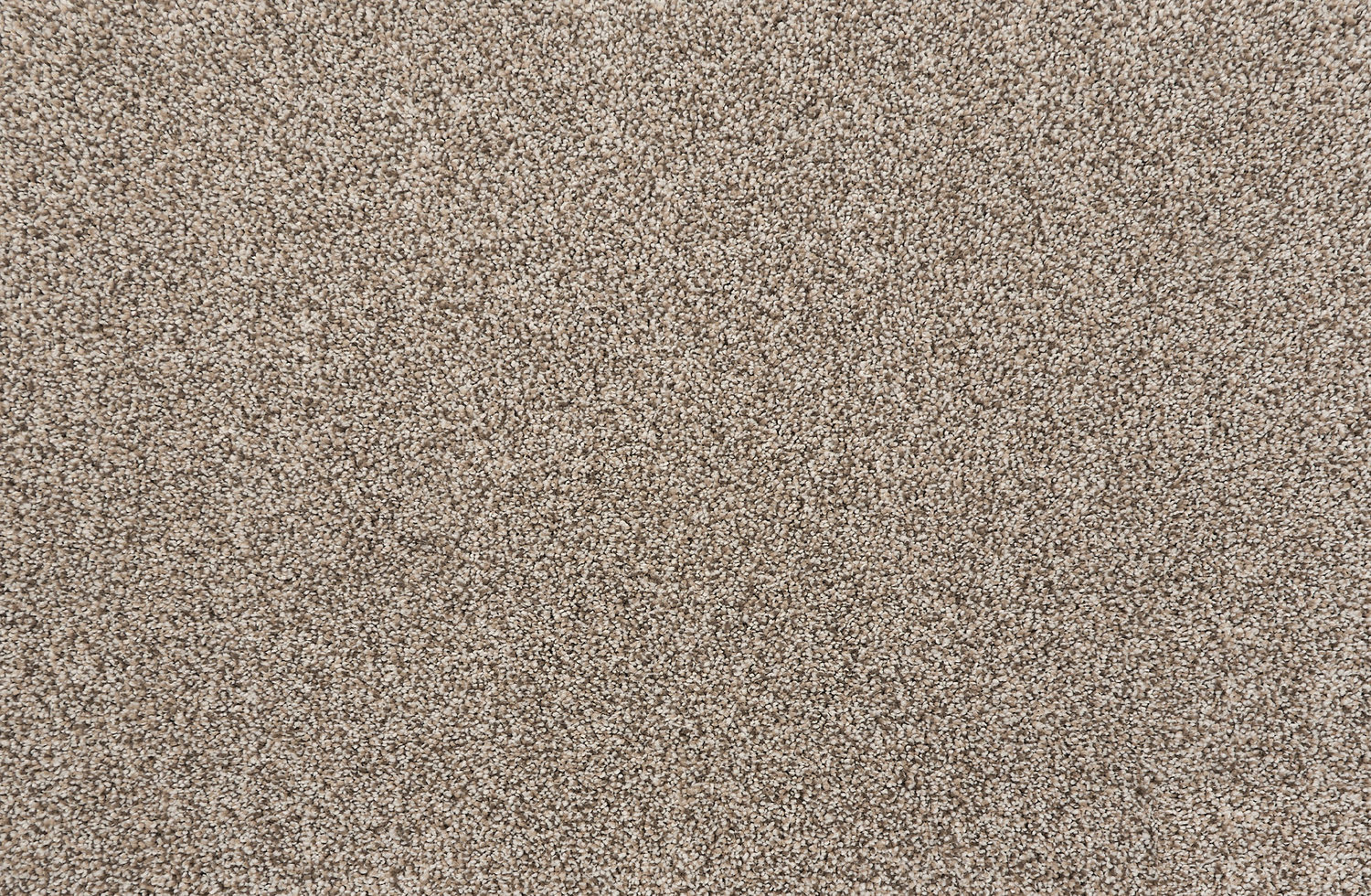 Stanton Quest Plush I - Bark