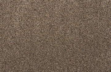 Stanton Quest Plush I - Coco